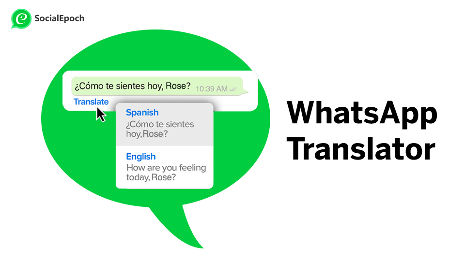 WhatsApp Translator-WhatsApp marketing tool